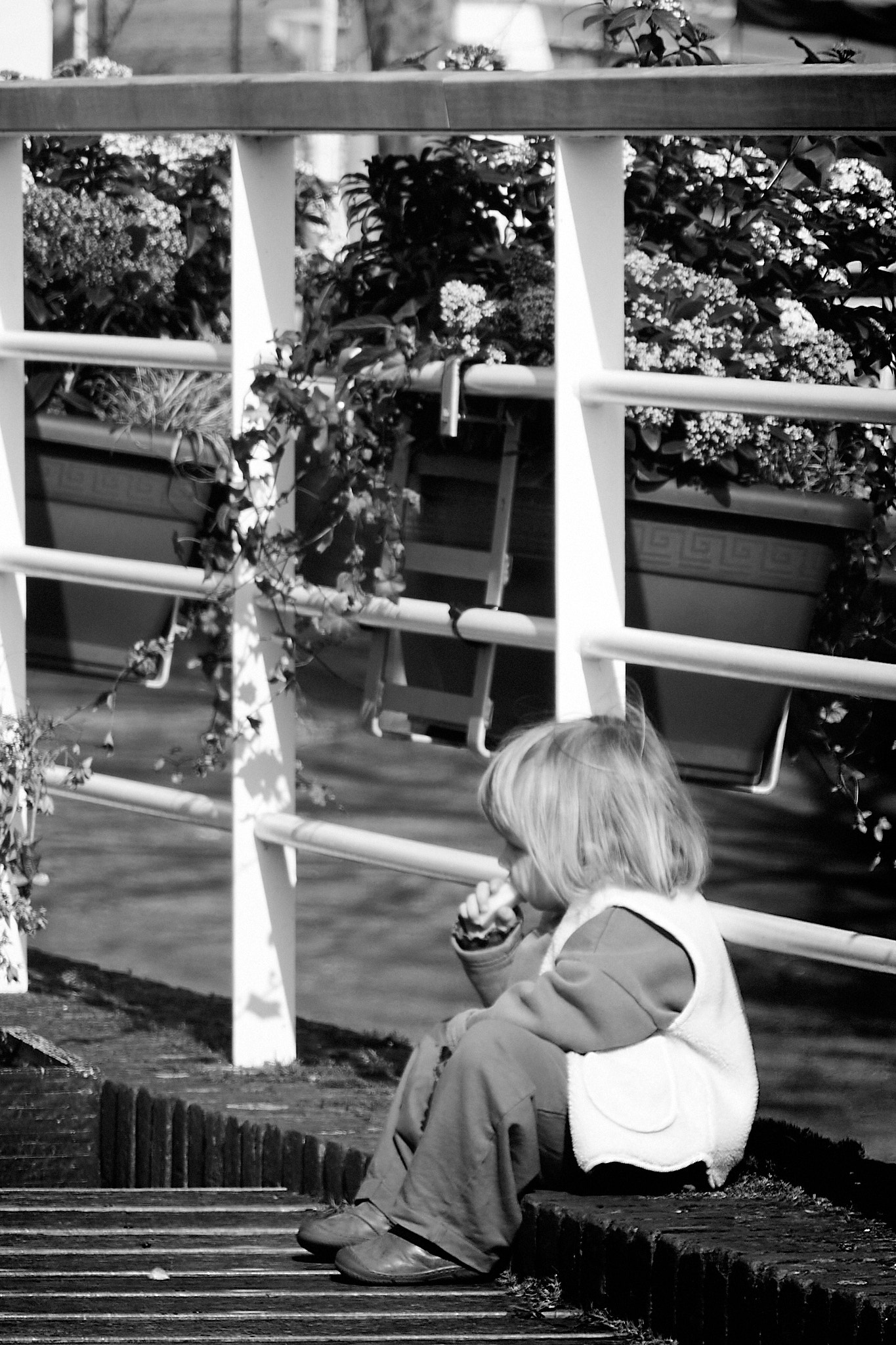 Black And White directory